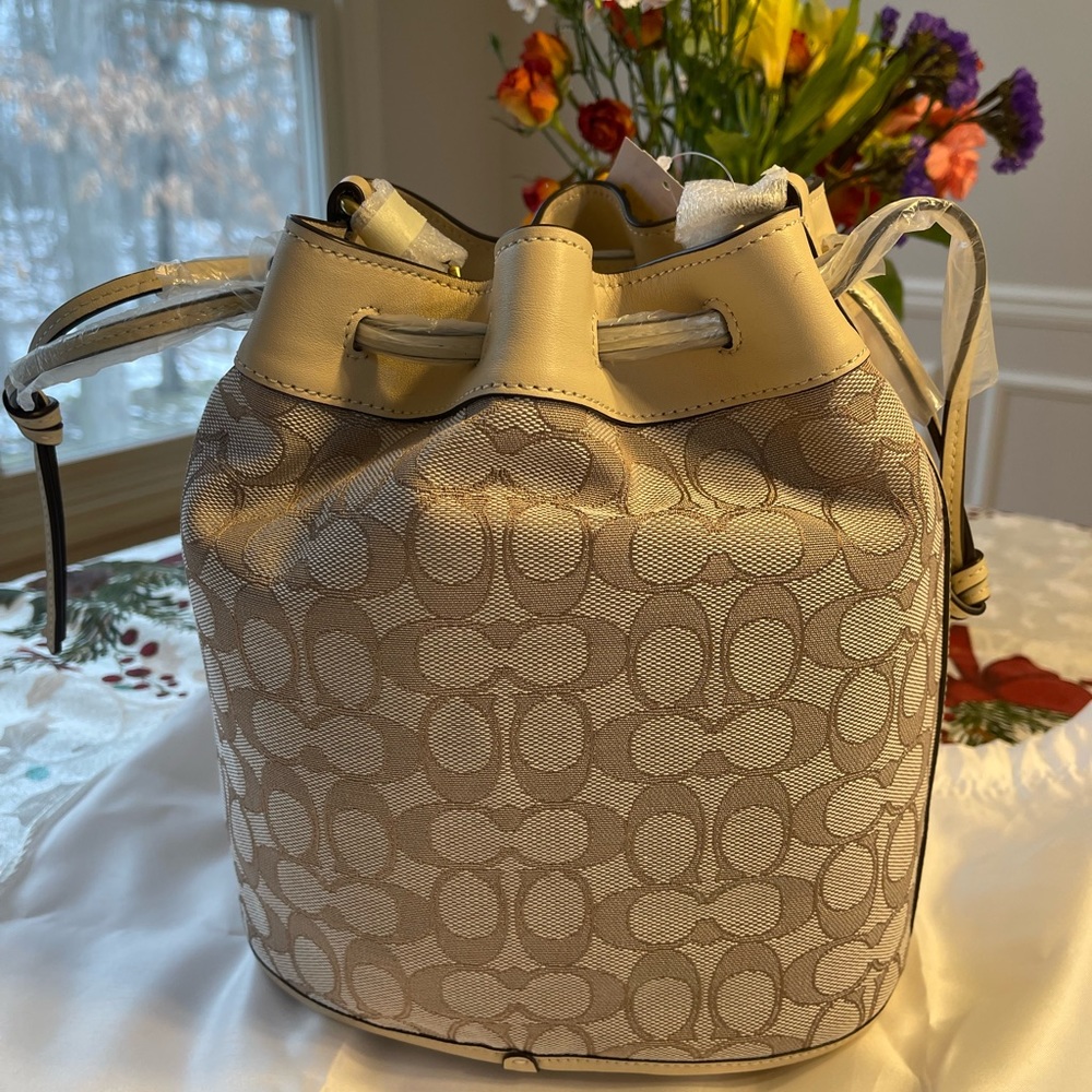 Coach field bucket bag